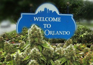 Orlando Decriminalizing Marijuana