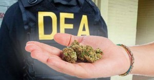 DEA Say’s “NO” To Marijuana