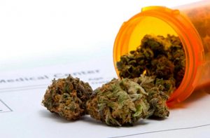 Florida Medical Marijuana